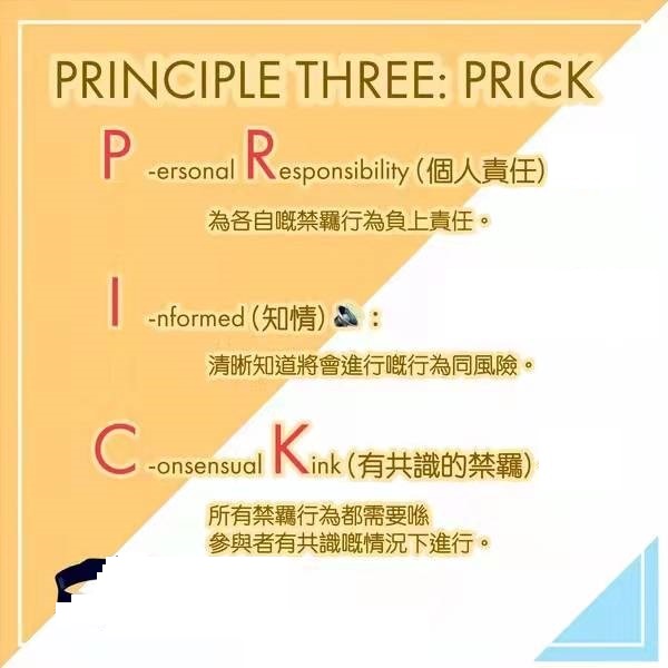 RACK原则与PRICK原则是什么意思？与SSC原则的区别是什么？