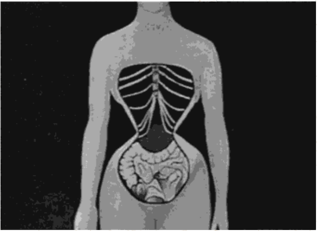 束身衣的起源发展，宁愿窒息也要穿着它优雅晕倒