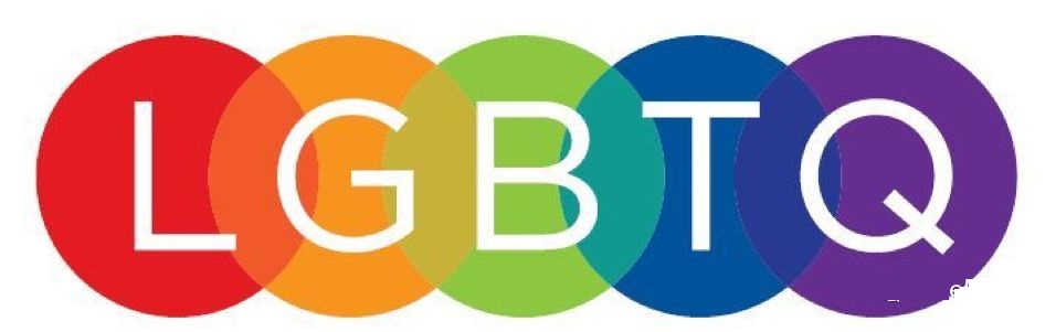 LGBTQ中的L,G,B,T,Q是代表什么意思？区别是什么