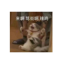 brat 与dom对话