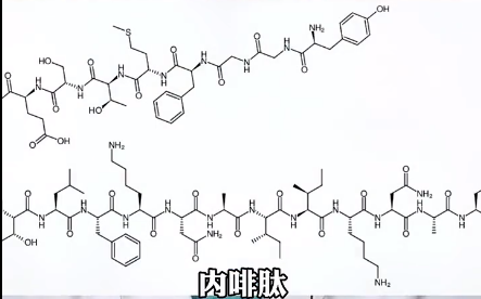 圈子里常说的多巴胺，内啡肽是什么意思？和aftercare又有什么联系？